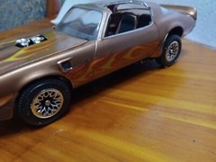 Pro Built Super Detailed Custom paint 1/25 Scale Model. They’re Amazing