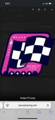NexGen Tire & Brake detail sheet 1/24 Decals JWTBM Salvinos JR Models NASCAR
