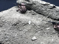 1/35 Scale Military Diorama Base Terrain Display Model Soldiers Figures Diecast