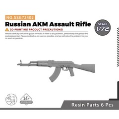 SSMODEL SSG72402 1/72 Russian AKM Automatic Rifle