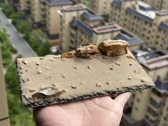 Fake Moss Grass Mat for 1/6 1/12 Soldier Model Diorama Landscape Base Decor