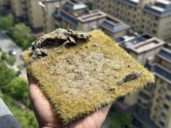 Realistic Moss Grassland Base Model Scene Display
