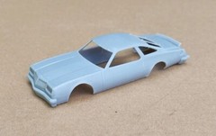 ABS-LIKE RESIN 3D PRINTED 1/32 1977 OLDS CUTLASS NASCAR BODY OLDSMOBILE