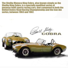 AMT 793 1/24 GT-350 SHELBY KING COBRA SCALE MODEL KIT