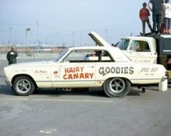Don Williamson Hairy Canary Plymouth 1/25th – 1/24th Scale Decals NHRA Drag