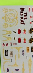 AMT 53 1953 Ford F100 Pickup 1/25 Custom Waterslide Decal Sheet Pinstrip Showcar