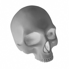 1/35 Scale Skulls Resin Parts for Armor, Aircraft, Car, Auto Models and Dioramas