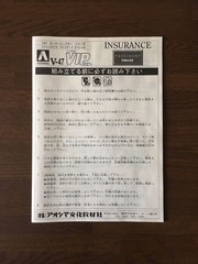 Aoshima 1/24 Insurance President Special Super VIP Car DIANA SPOKE INSURANCE