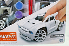 Modarri DeLux Paint-It Auto Design 1172-01 Car & Paint Kits SAME DAY SHIPPING