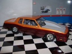Resin Outlaw Hood ’86 Monte Carlo! Revell, Monogram and ’87 Aeroback 1/24.