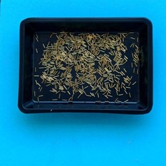 Diorama 1/35 WWII Machine Gun Ammo Shells Model Tank Military Scene Props Model